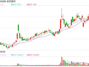 金花股份及多名高管再次挨批 遏制“小错不断”现象亟待监管创新