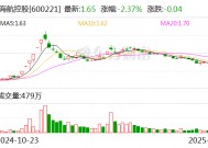 海航控股：2024年12月旅客运输量同比增长30.65%