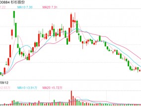 缘何重整？知情人回答杉杉集团四大问题，周婷“上位”只是想替郑驹力挽狂澜