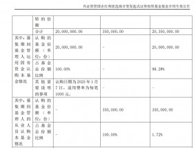 最惨新基只募得2035万元，公募“开门红”困在指数产品里