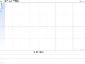 上海石油化工股份2024年度汽油销售收入293.86亿元