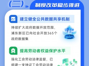 盘点2024｜对接国际高标准经贸规则，推进自贸试验区高水平制度型开放取得新进展