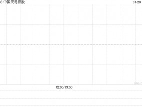 中国天弓控股因认股权获行使发行254.86万股