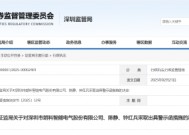 募集资金使用与信披违规！朗科智能及相关责任人被出具警示函