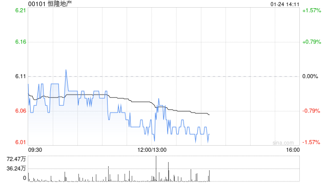 恒隆地产发布2024年度全年业绩 股东应占纯利21.53亿港元同比减少45.77%