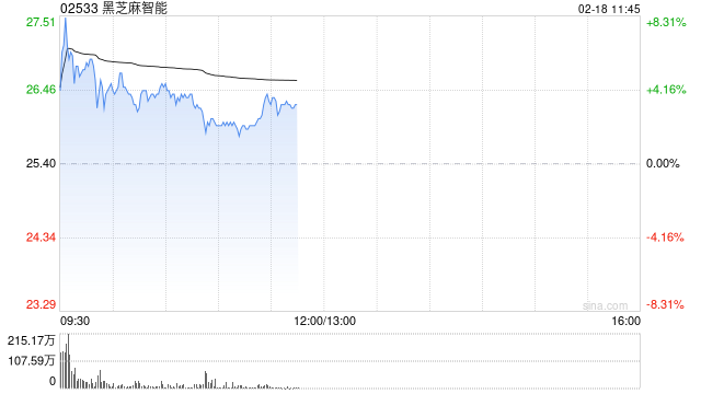 黑芝麻智能盈喜后高开逾5% 全年收入同比预增最多60%